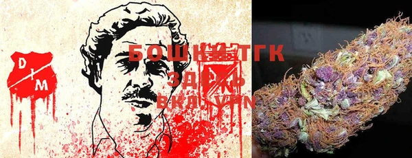 бошки Алексин