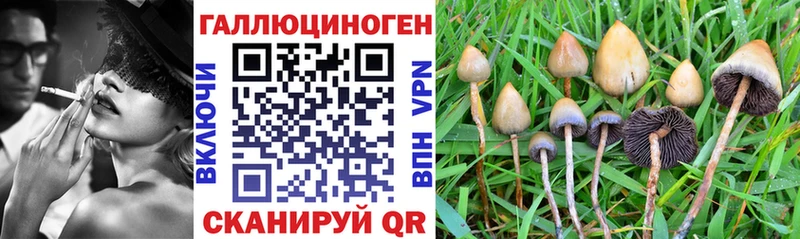 Псилоцибиновые грибы Magic Shrooms  Ахтубинск 